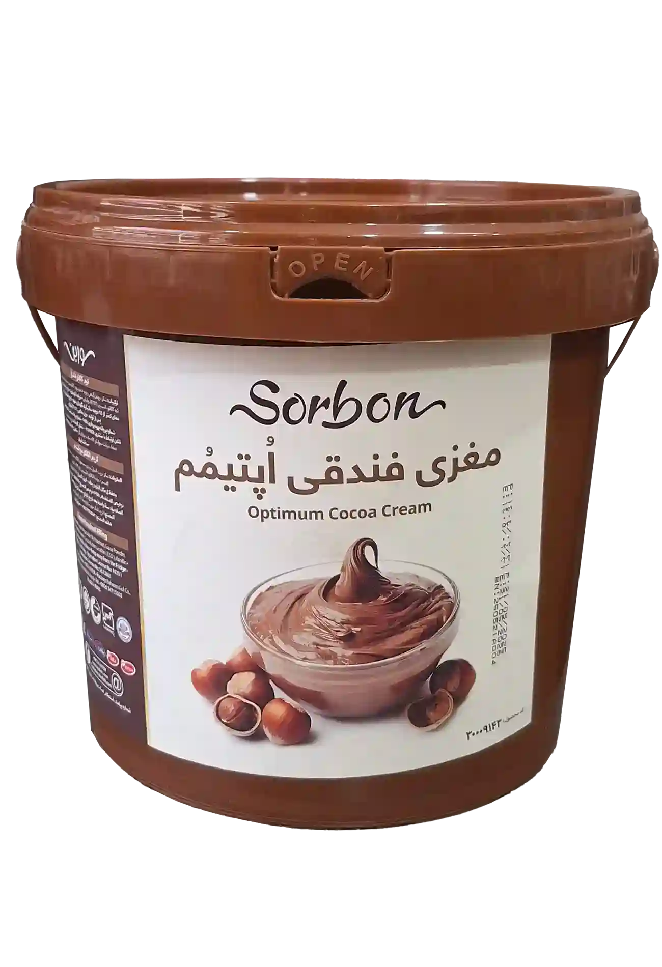 مغزی سوربن